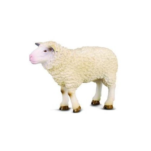 Collecta - Sheep 88008