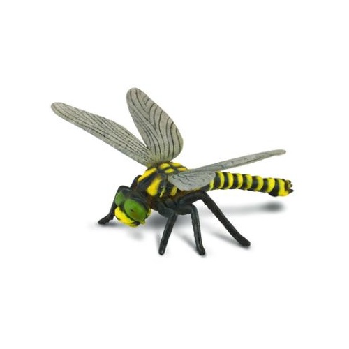 Collecta - Golden Tailed Dragonfly 88350