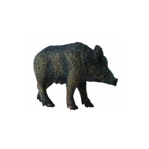 Collecta - Wild Sow 88364