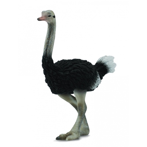 Collecta - Ostrich 88459