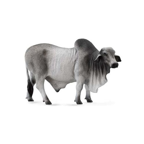 Collecta - Brahman Bull Grey 88579