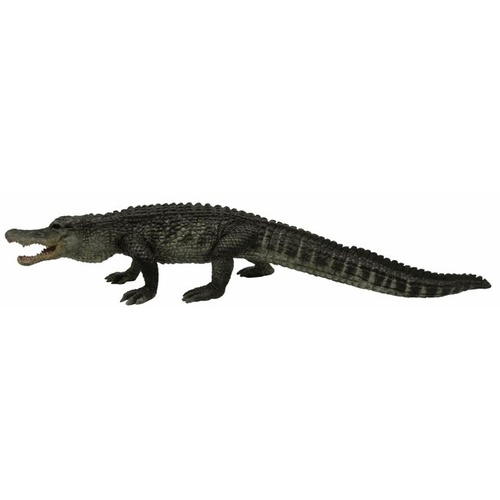 Collecta - American Alligator 88609