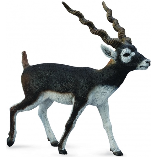 Collecta - Blackbuck 88638
