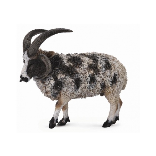Collecta - Jacob Sheep 88728
