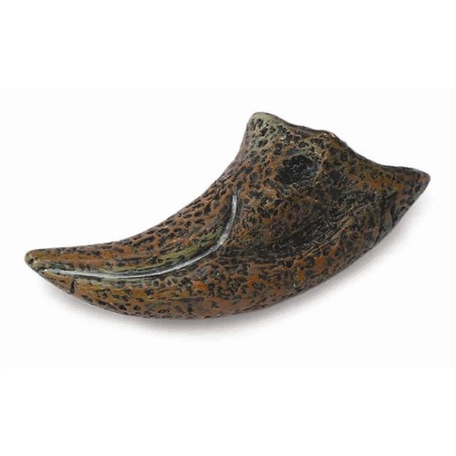 Collecta - Tyrannosaurus Rex - First Toe Replica 89280