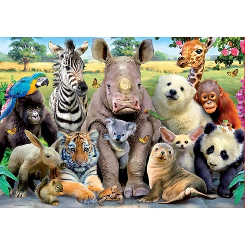 Educa - It's A Class Photo Puzzle 300pc