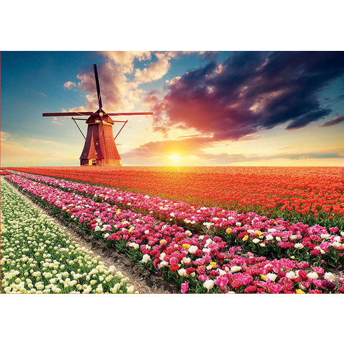 Educa - Tulips Landscape Puzzle 1500pc (DAMAGED BOX)