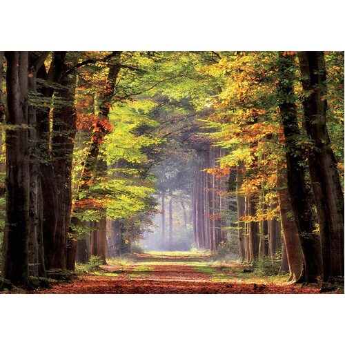 Educa - Autumn Walkway Puzzle 1000pc