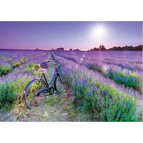 Educa - Bike In Lavendar Field Puzzle 1000pc
