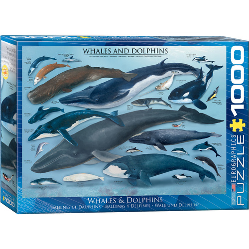 Eurographics - Whales & Dolphins Puzzle 1000pc