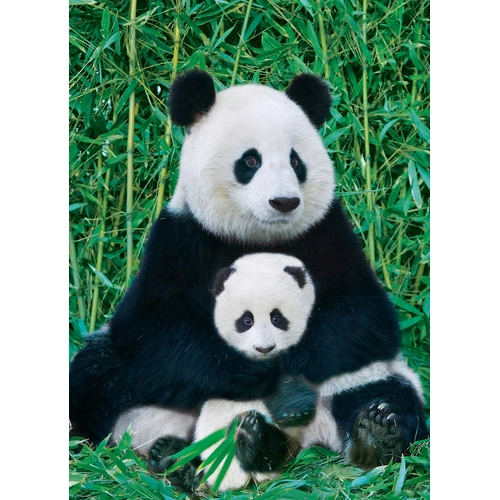 Eurographics - Panda & Baby Puzzle 1000pce