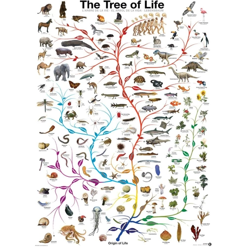 Eurographics - The Tree of Life Puzzle 1000pc
