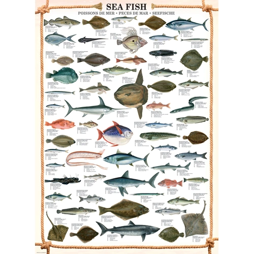Eurographics - Sea Fish Puzzle 1000pc