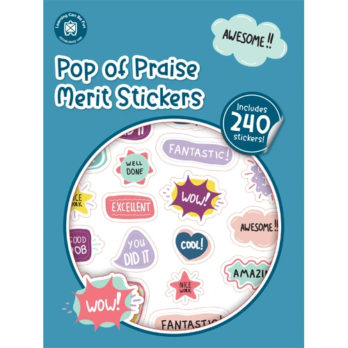 Learning Can Be Fun - Pop of Praise Merit Stickers