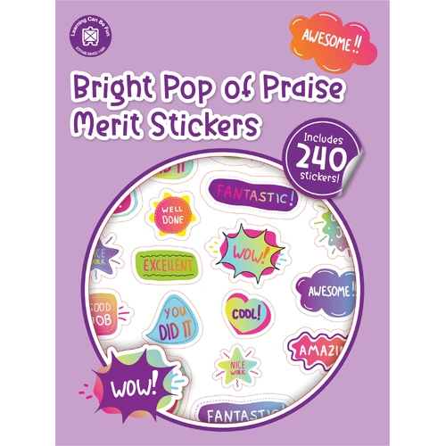 Learning Can Be Fun - Pop of Praise Bright Merit Stickers