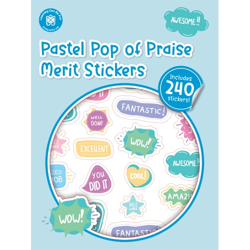 Learning Can Be Fun - Pop of Praise Pastel Merit Stickers