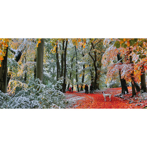 Gibsons - Snow In Autumn Panoramic Puzzle 636pc