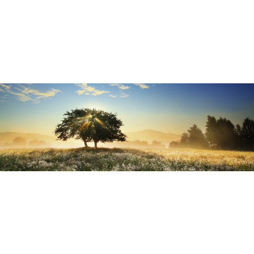 Heye - Von Humboldt, Play of Light Panorama Puzzle 1000pc