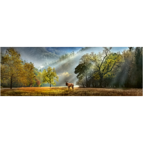 Heye - Morning Salute Panorama Puzzle 1000pc