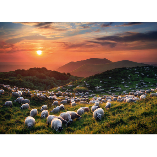 Heye - Von Humboldt, Sheep and Volcanoes Puzzle 1000pc
