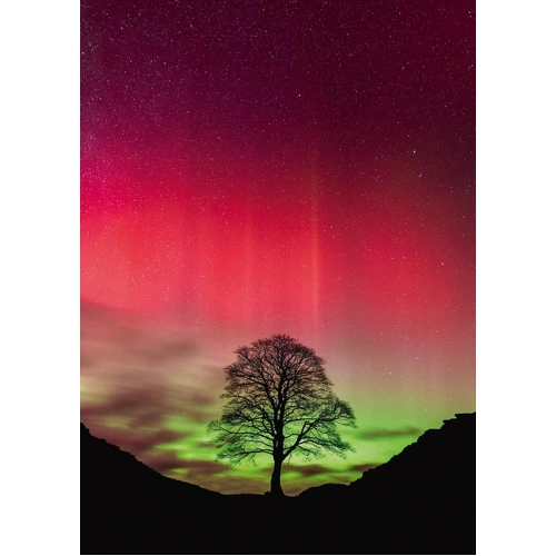 Heye - Power Of Nature, Sycamore Gap Puzzle 1000pc