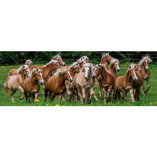 Jumbo - Halflinger Horses Panorama Puzzle 1000pc