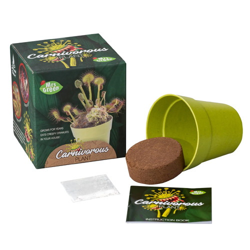 Mrs Green - Grow Your Own Carnivorous Plant