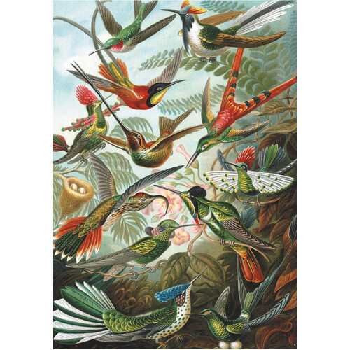 Piatnik - Hummingbirds Puzzle 1000pc