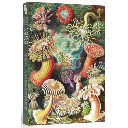 Penny Puzzle - Sea Anemones Puzzle 1000pc