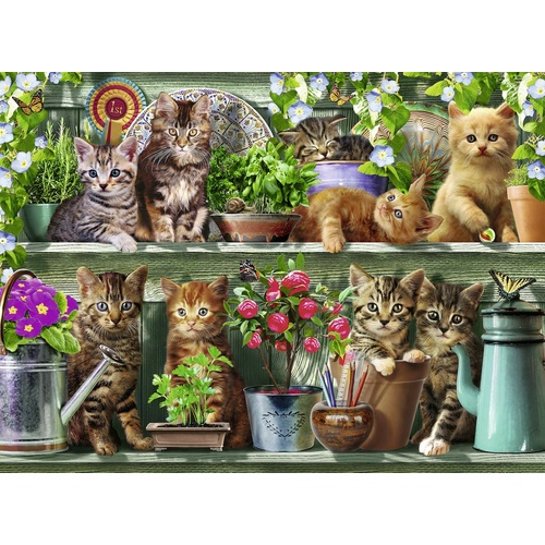Ravensburger - Cats on the Shelf Puzzle 500pc