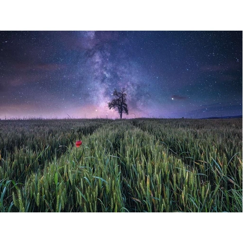Ravensburger - Power of Nature Night Sky Over The Cornfield Puzzle 1500pc