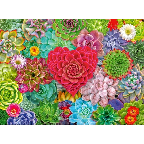Ravensburger - Succulent Love Puzzle 500pc