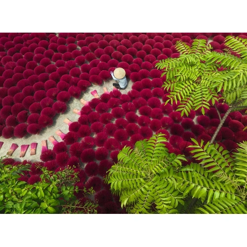 Ravensburger - A Sea of Red Puzzle 500pc