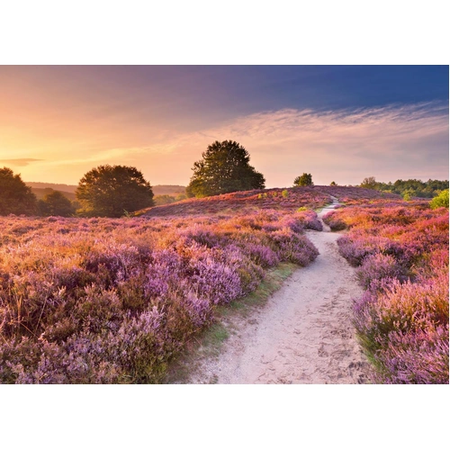 Ravensburger - Pink Pathway Puzzle 1000pc