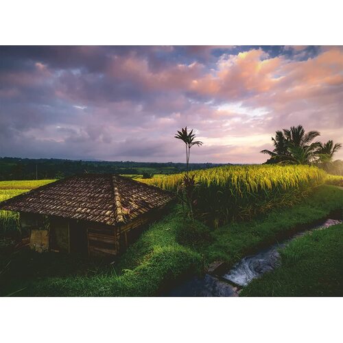 Ravensburger - Bali Rice Fields Puzzle 500pc