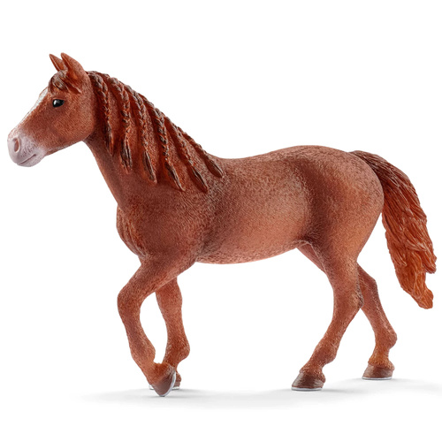 Schleich - Morgan Horse Mare 13870