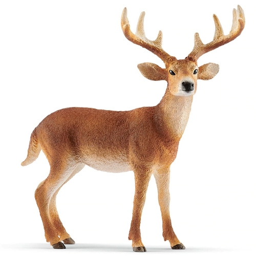 Schleich - White-Tailed Buck 14818