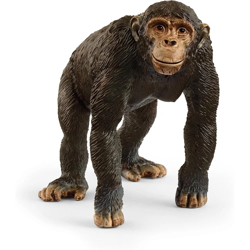Schleich - Chimpanzee 14883