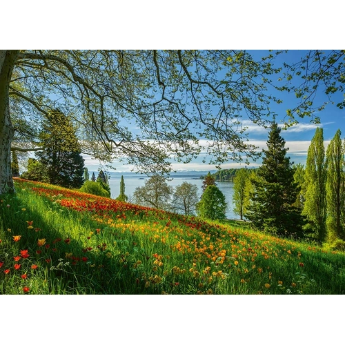 Schmidt - Isle Of Mainau Switzerland Puzzle 1000pc
